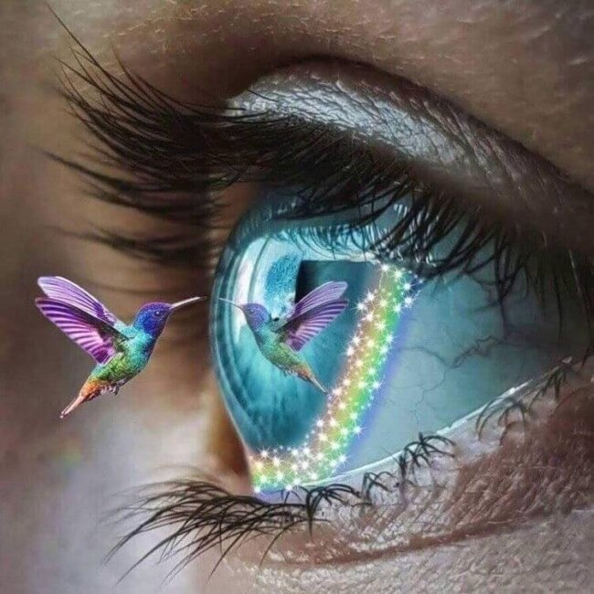 Lash Image with Hummingbird